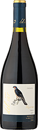 bottle image